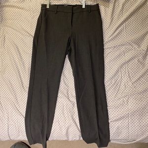 Grey Express Dress Pants